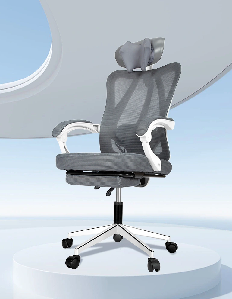 Aulki ergonomikoa